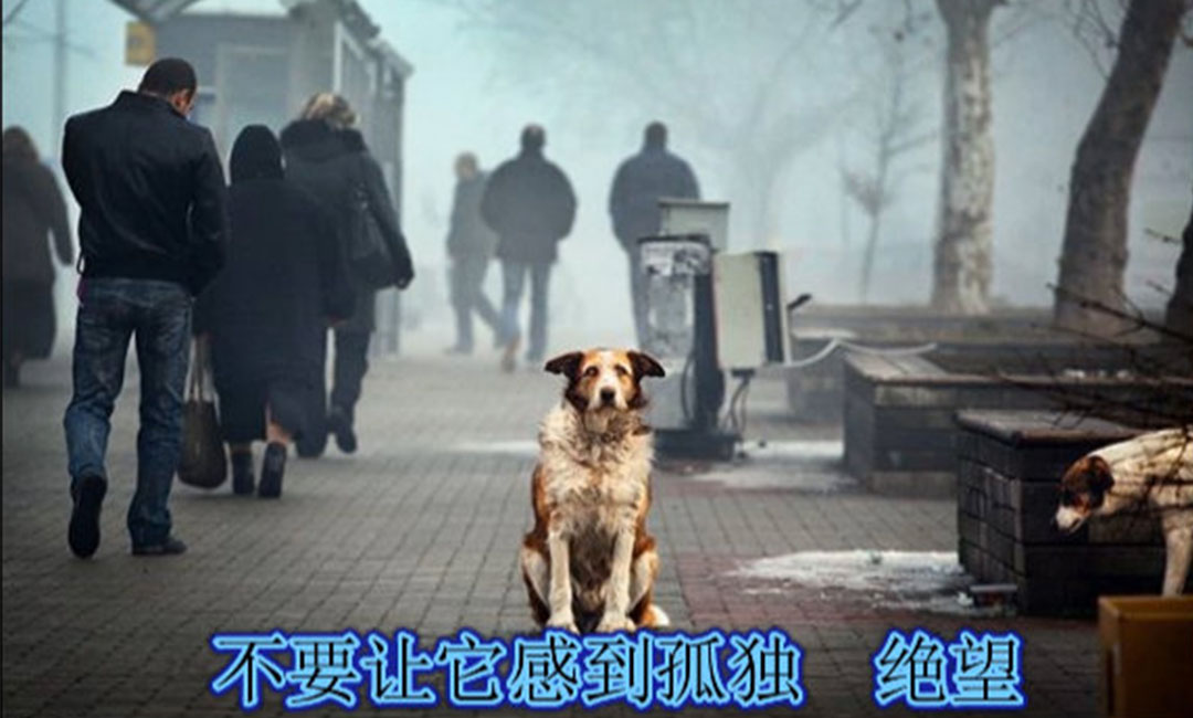 宣城宣城爱影圈微博微信转发案例